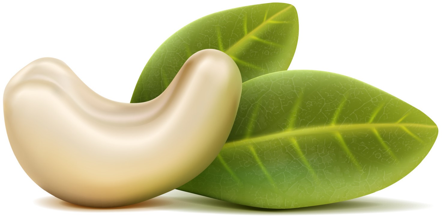 90bc7532d5fc281124569e8c7bd43f97