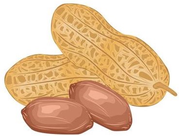 7cfff81b5ebb9d119cf8fd5dd9167818