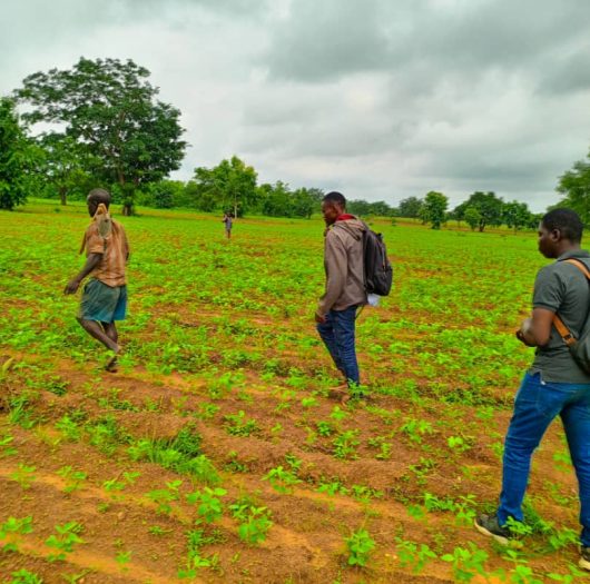 WhatsApp Image 2024-05-09 at 18.25.55_624cf611